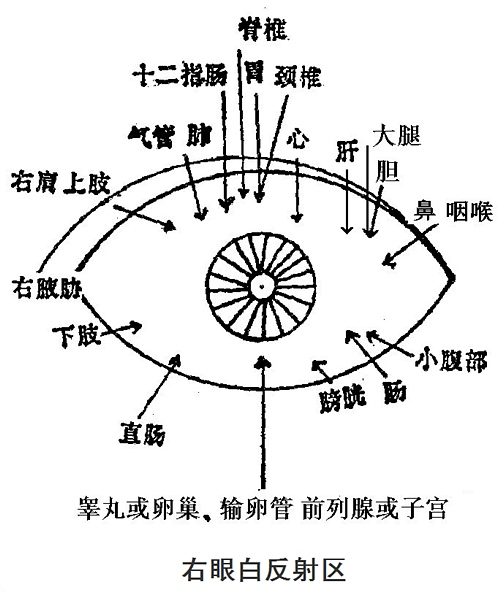 眼诊